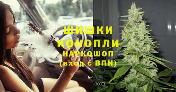 a pvp Белокуриха