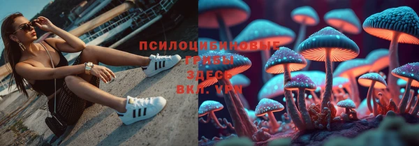a pvp Белокуриха